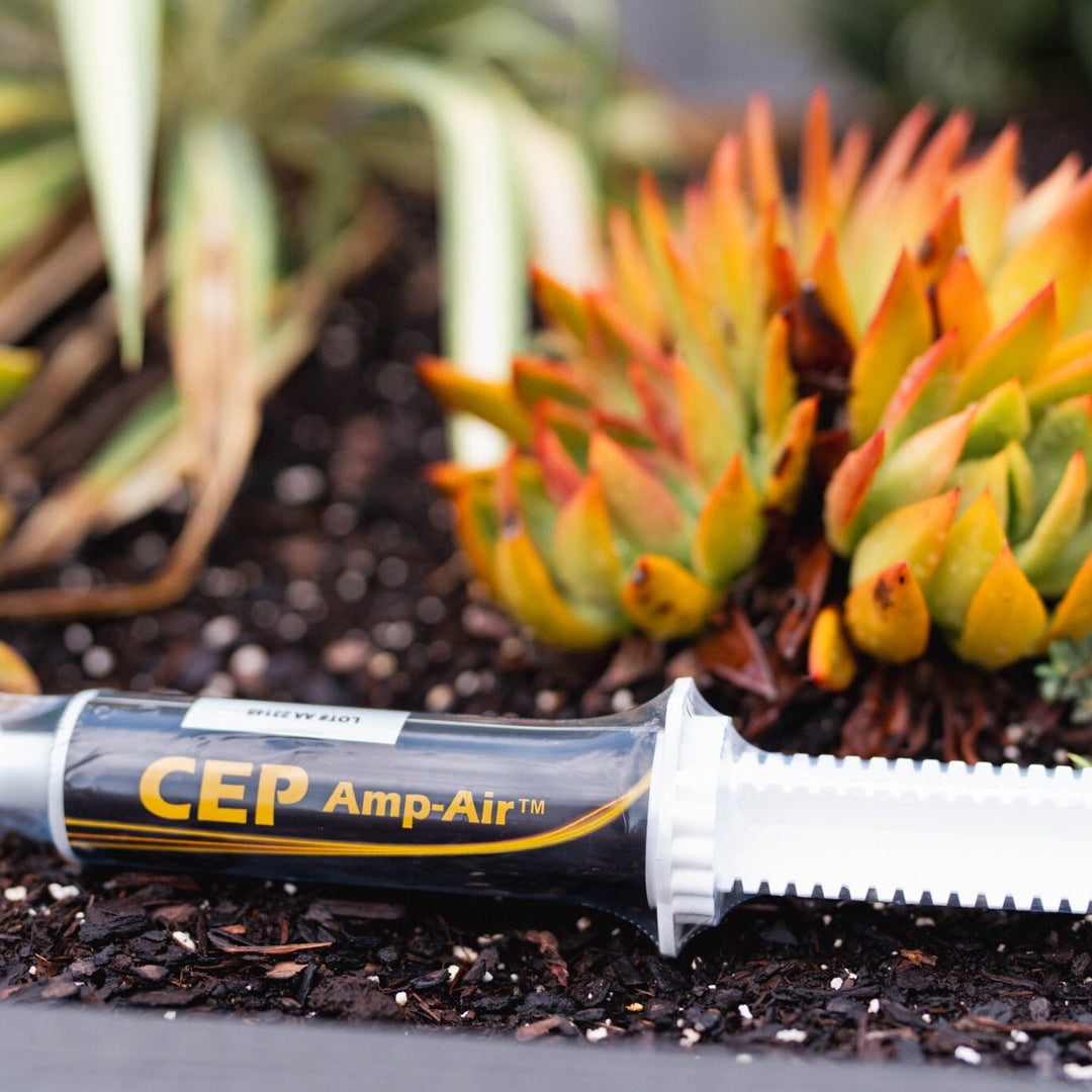 CEP Amp-Air Paste