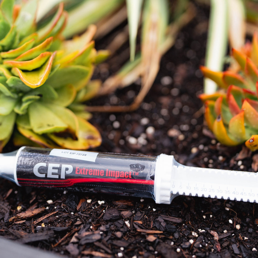 CEP Extreme Impact Paste