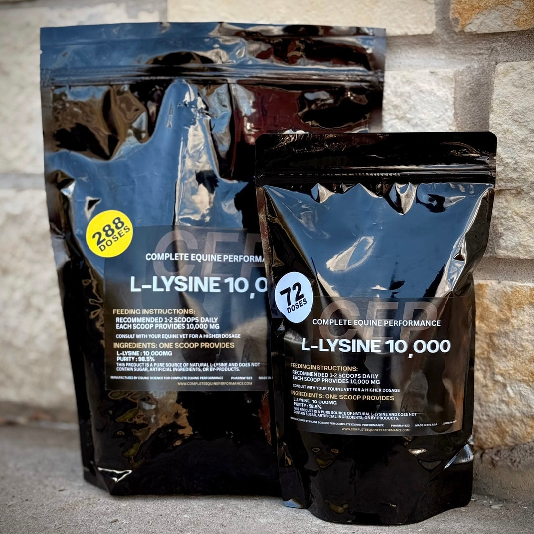 CEP L-Lysine 10,000